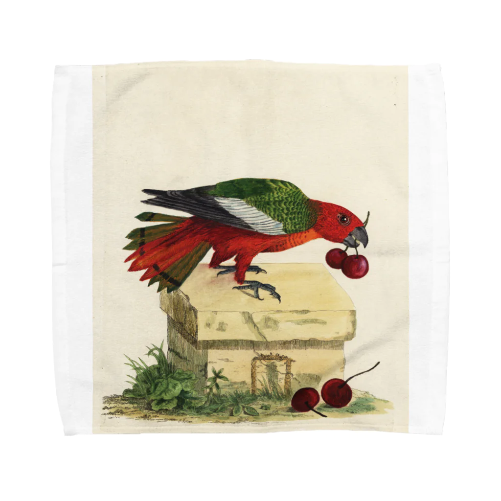 J. Jeffery Print Galleryの博物画の鳥 Towel Handkerchief