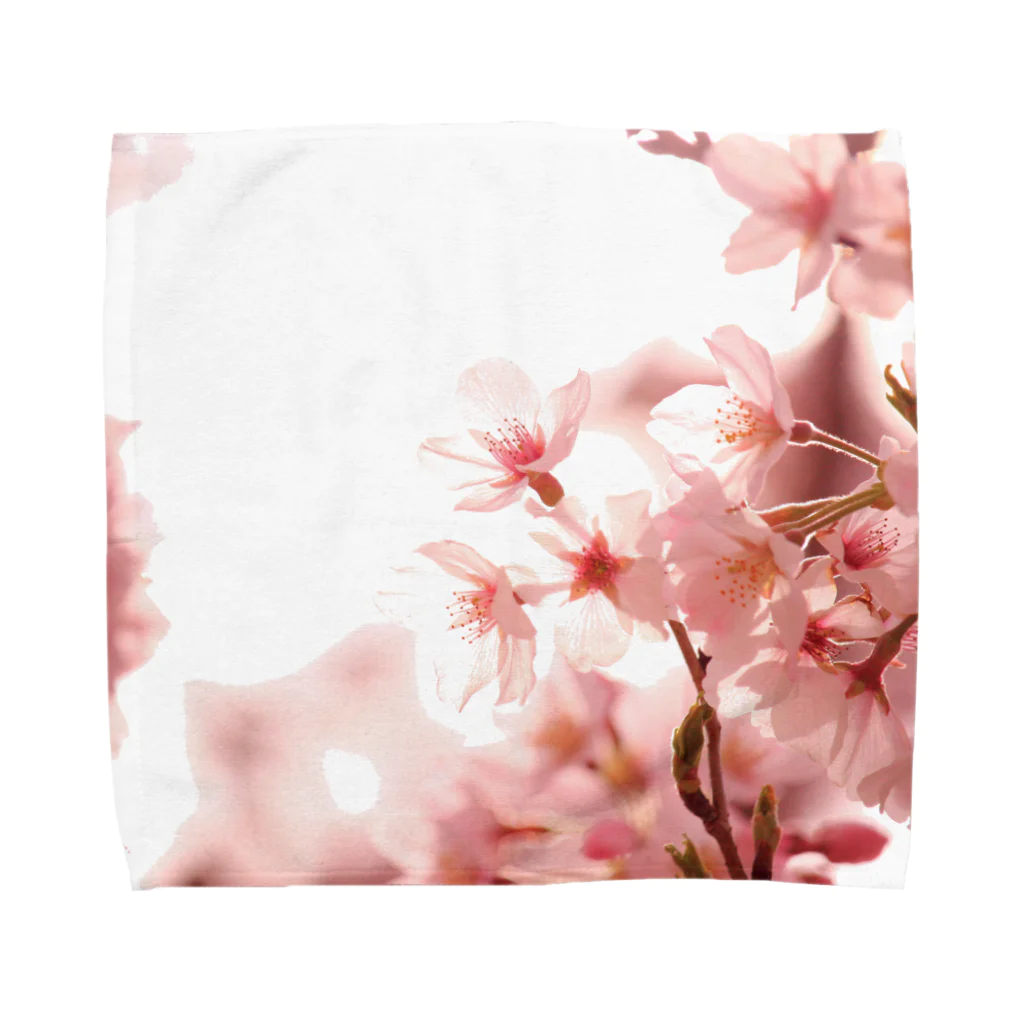 M.F.Photoの薄桜 Towel Handkerchief