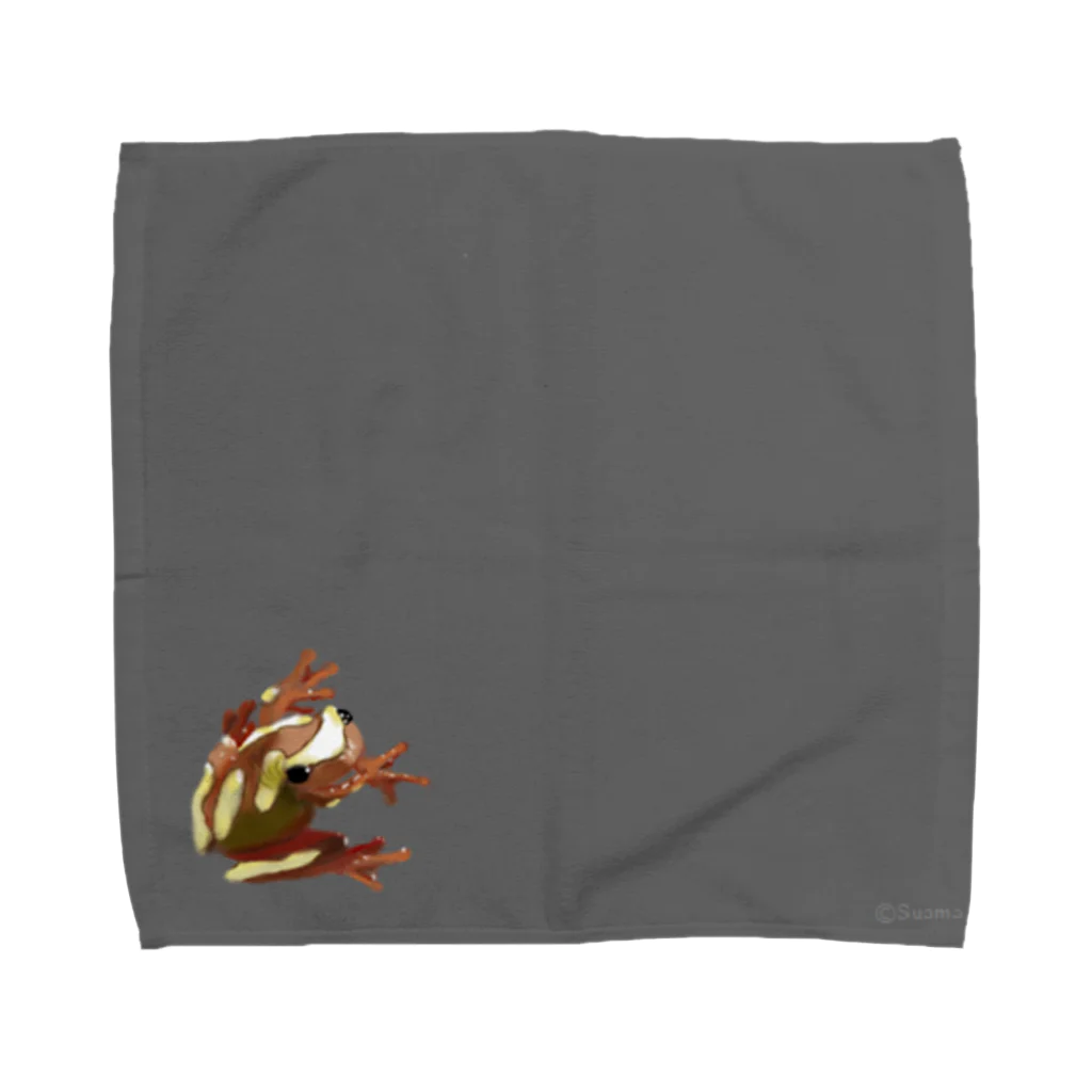 ਭकまのフチドリアマガエル Towel Handkerchief