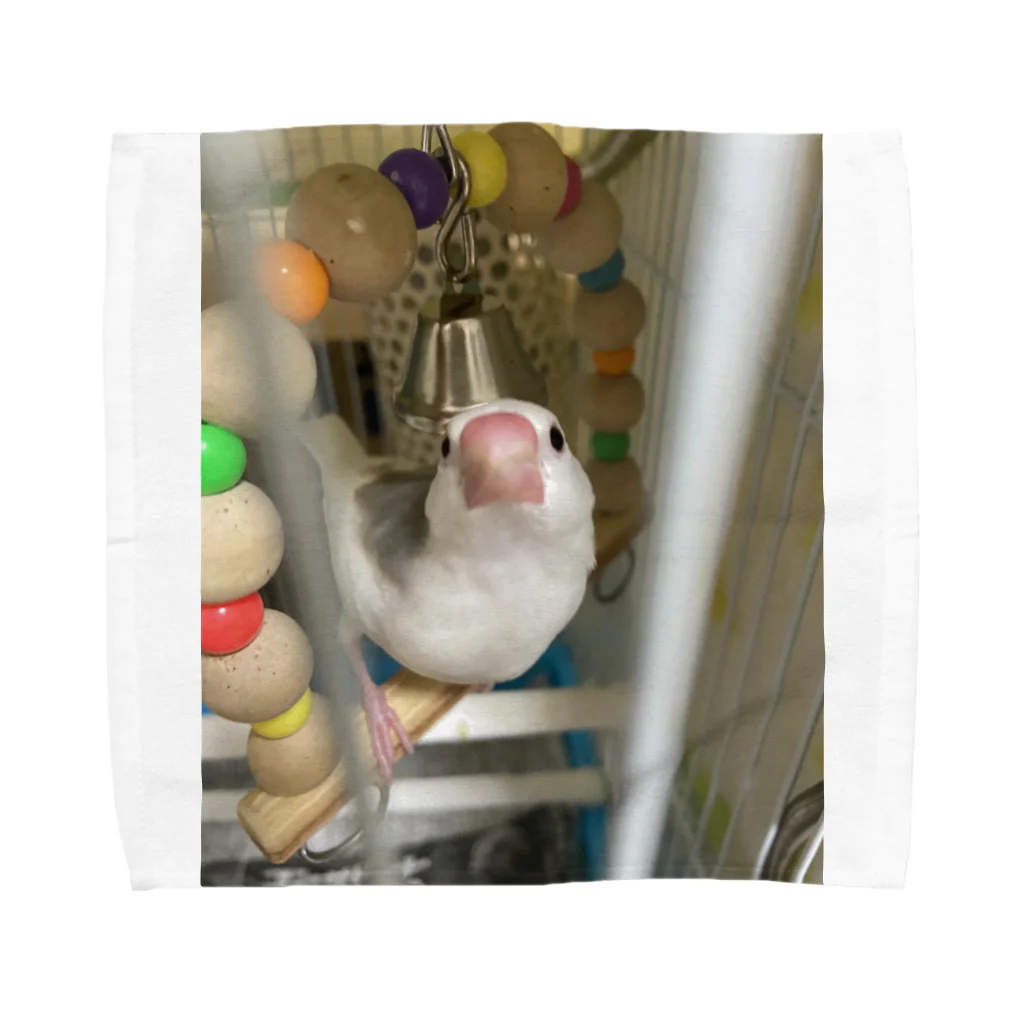 文鳥好きのまめちゃんのしょっぷ♪のまめ♪ Towel Handkerchief