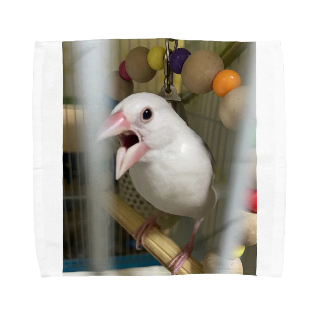 文鳥好きのまめちゃんのしょっぷ♪のまめちゃん♪ Towel Handkerchief