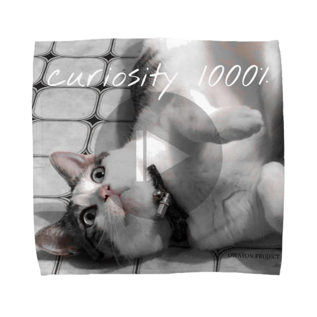 OWAYON ∞ （オワヨン　インフィニティ）の【1000％シリーズ　curiosity cat】 タオルハンカチ