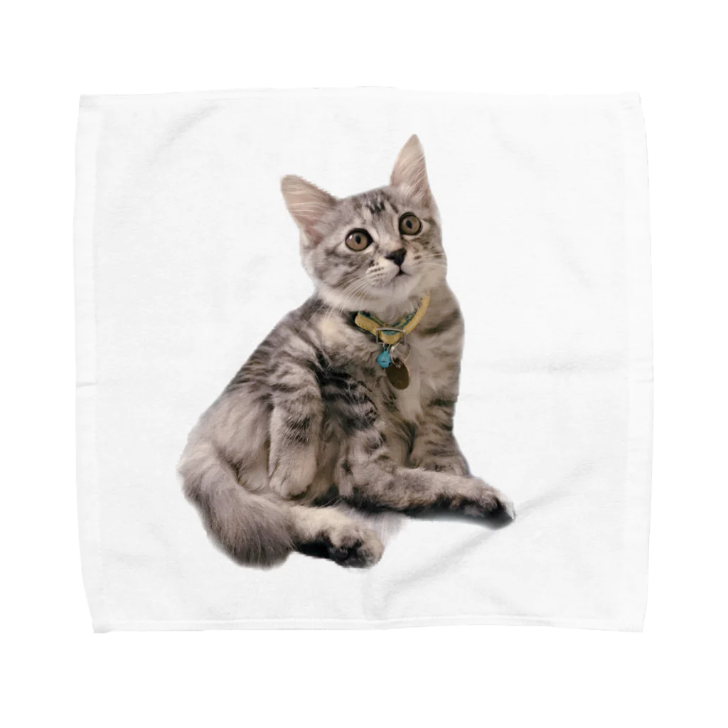 うちのネコチャンのお座りネコチャン Towel Handkerchief