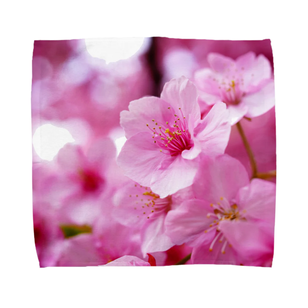 青空骨董市の永遠の桜 -思いを託して- Towel Handkerchief