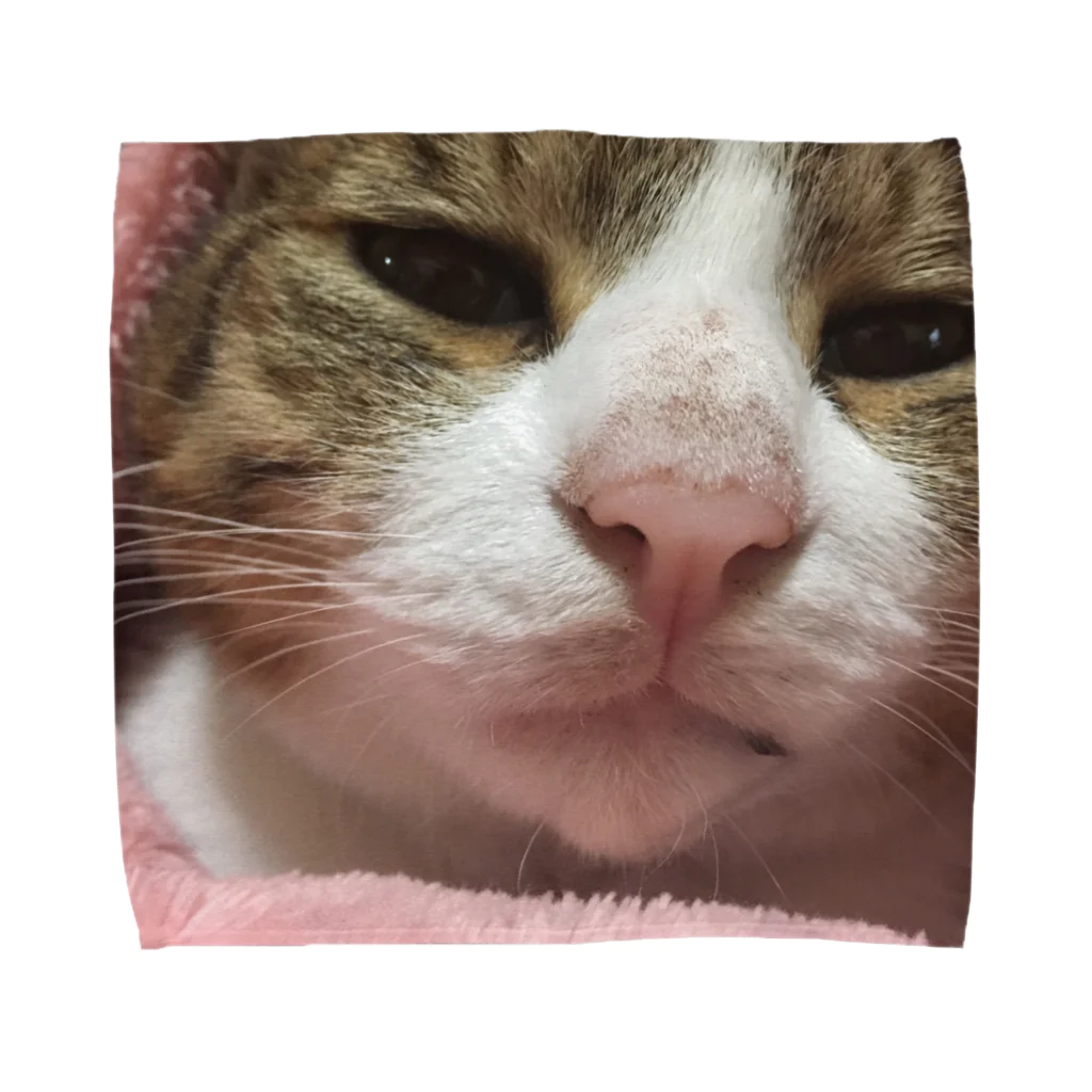 625626のねこねこ Towel Handkerchief