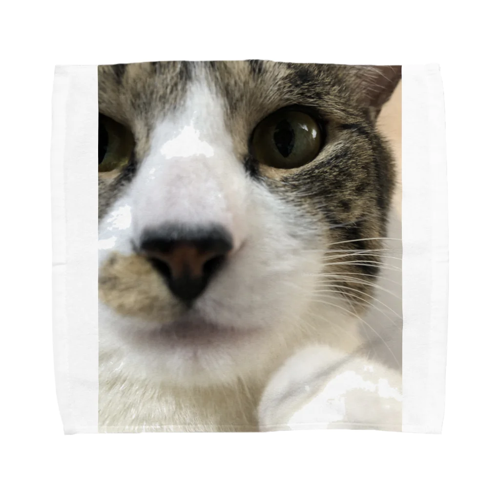 来栖ｱﾂﾑとむーの猫の鰤太郎が見ている Towel Handkerchief