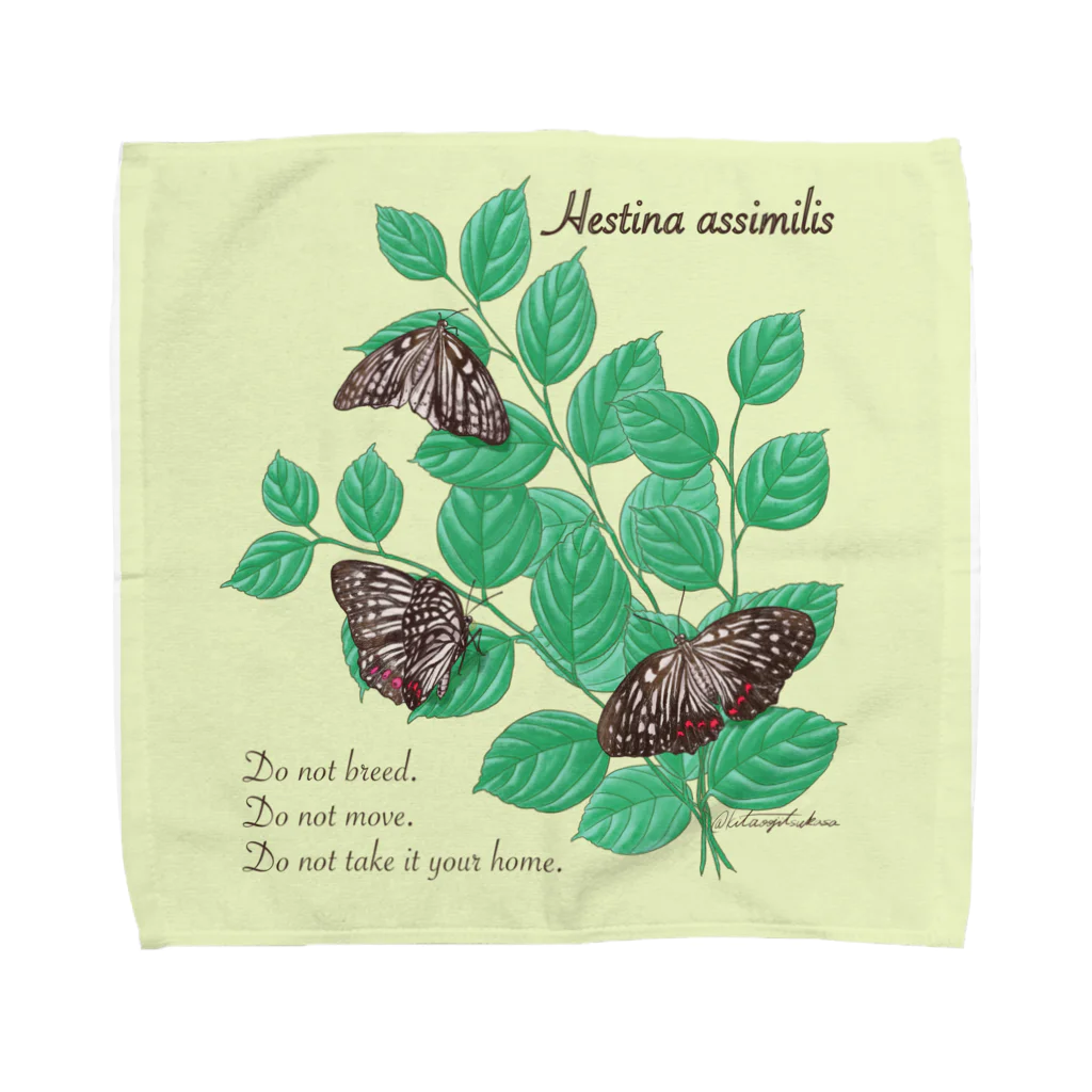 kitaooji shop SUZURI店のアカボシゴマダラとエノキ Towel Handkerchief