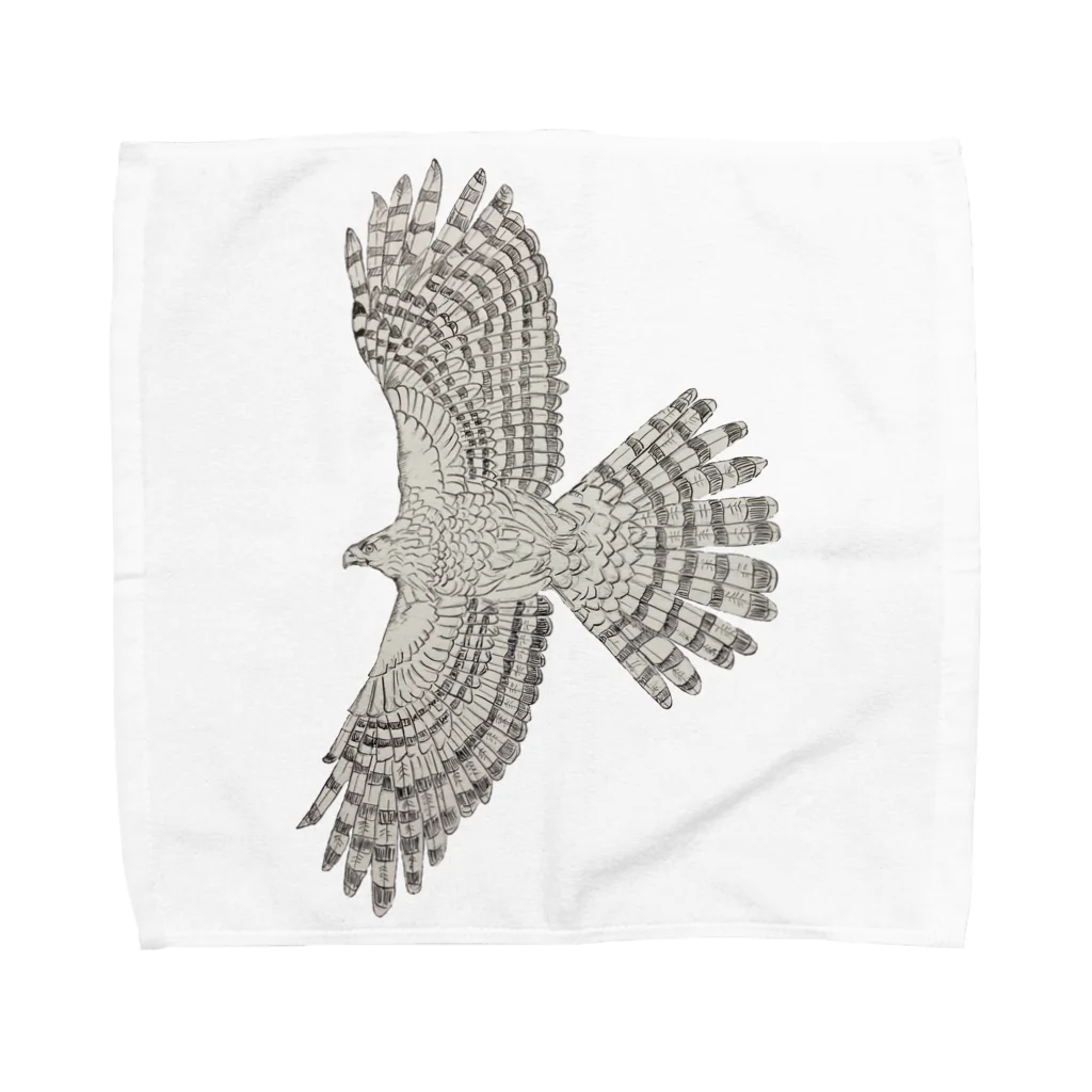 Coshi-Mild-Wildのクーパーハイタカ_A Towel Handkerchief