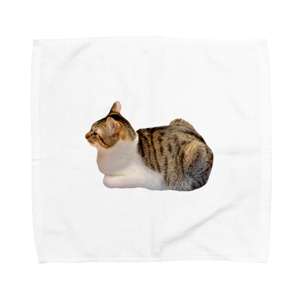 猫のさん君の猫のさん君 Towel Handkerchief