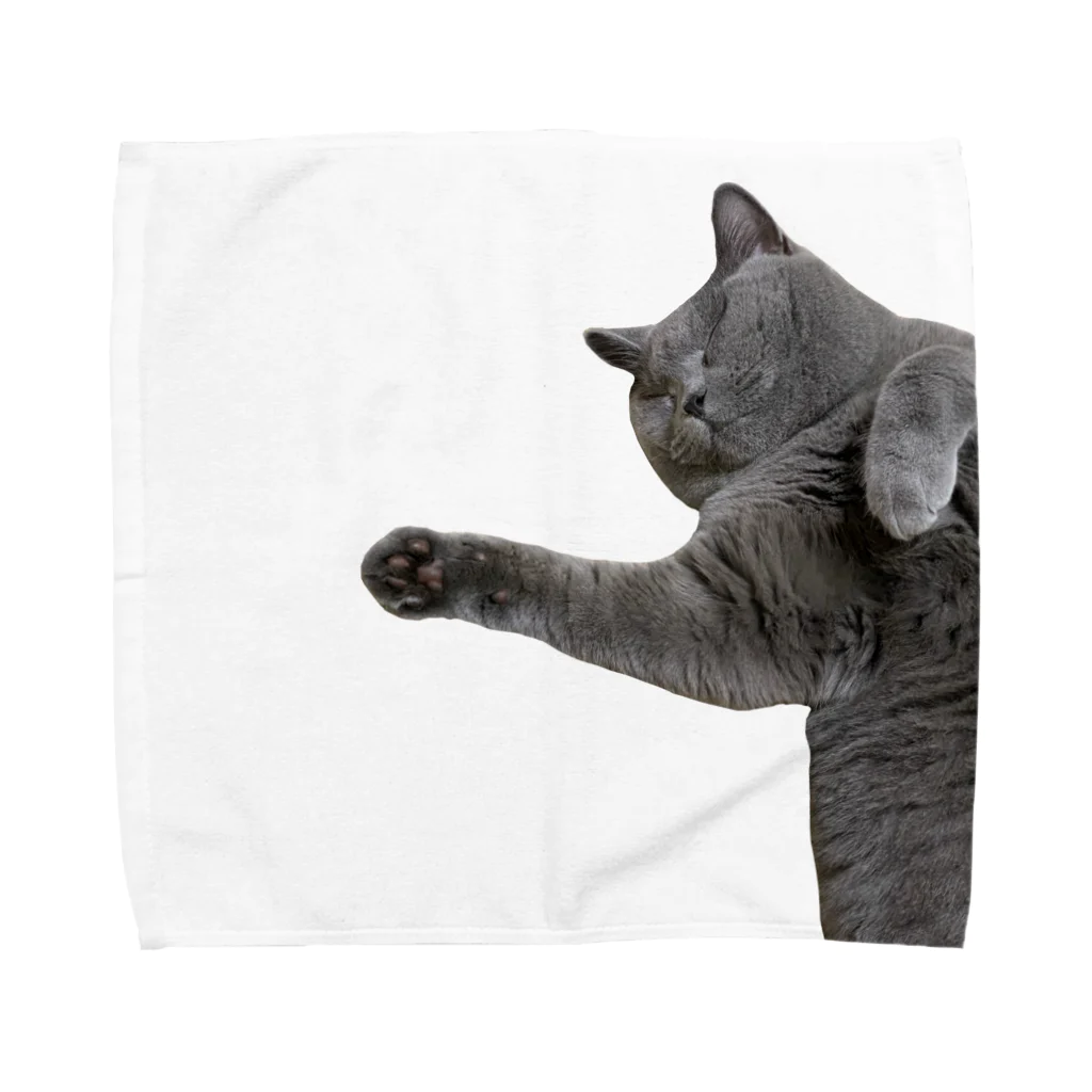 むっちり猫のむっちり丸のむっちり丸スヤスヤ Towel Handkerchief