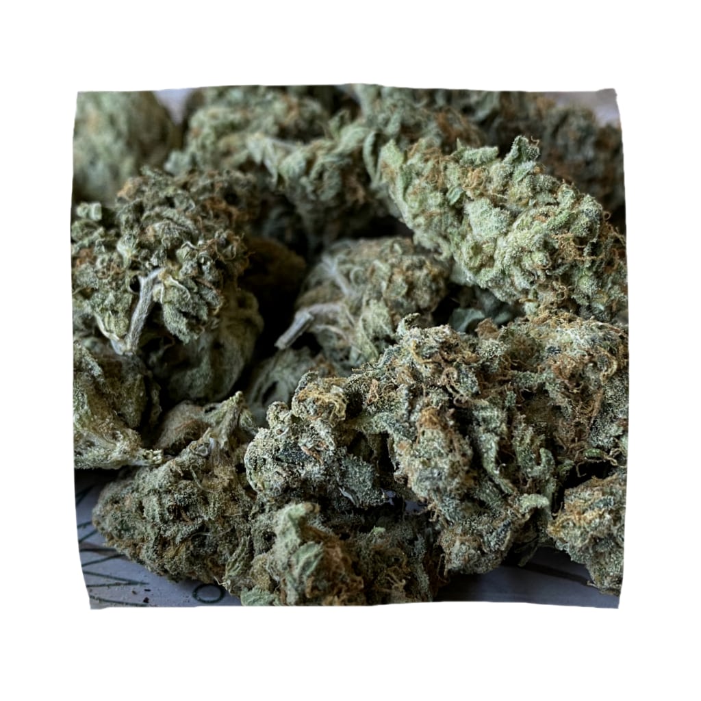バッズ 焚麻 大麻起業家を目指すパパ大学生 Takuma Neotrip のタオルハンカチ通販 Suzuri スズリ