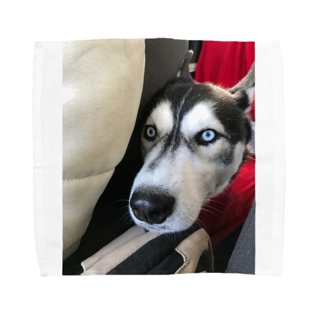 Husky'S Herb Gardenの見つめる先には… その2 Towel Handkerchief