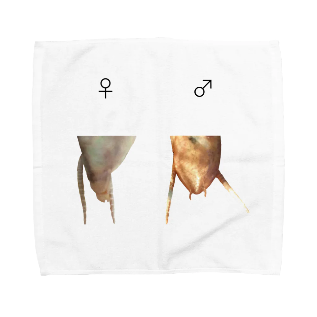 L_arctoaのカマキリの雌雄（背景透過ver） Towel Handkerchief