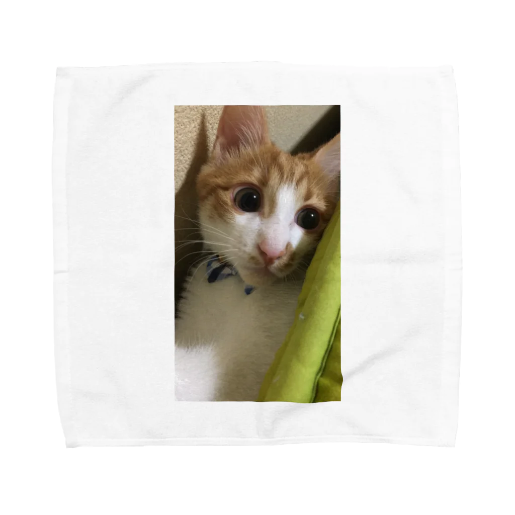 むむ😸🍈(mumu)グッズの茶白猫むむ Towel Handkerchief