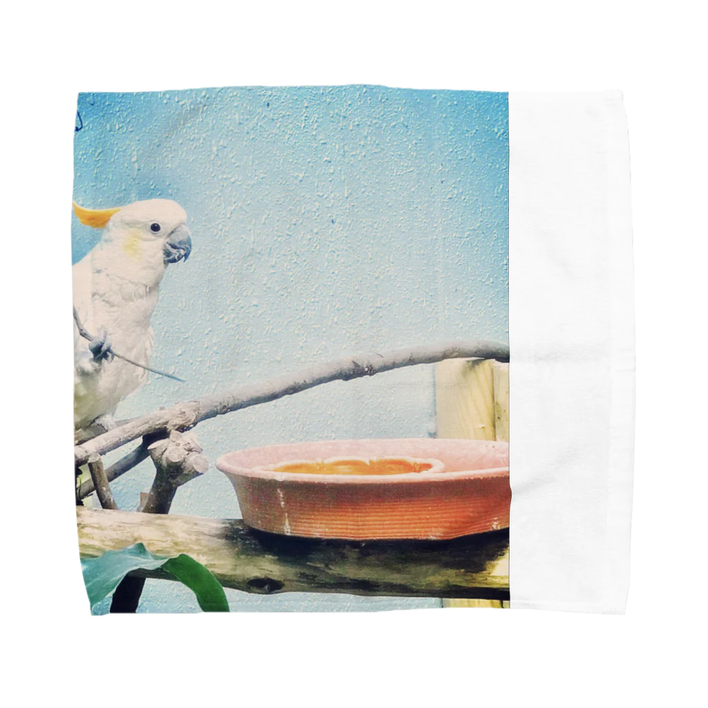 anaanaのzoo Towel Handkerchief