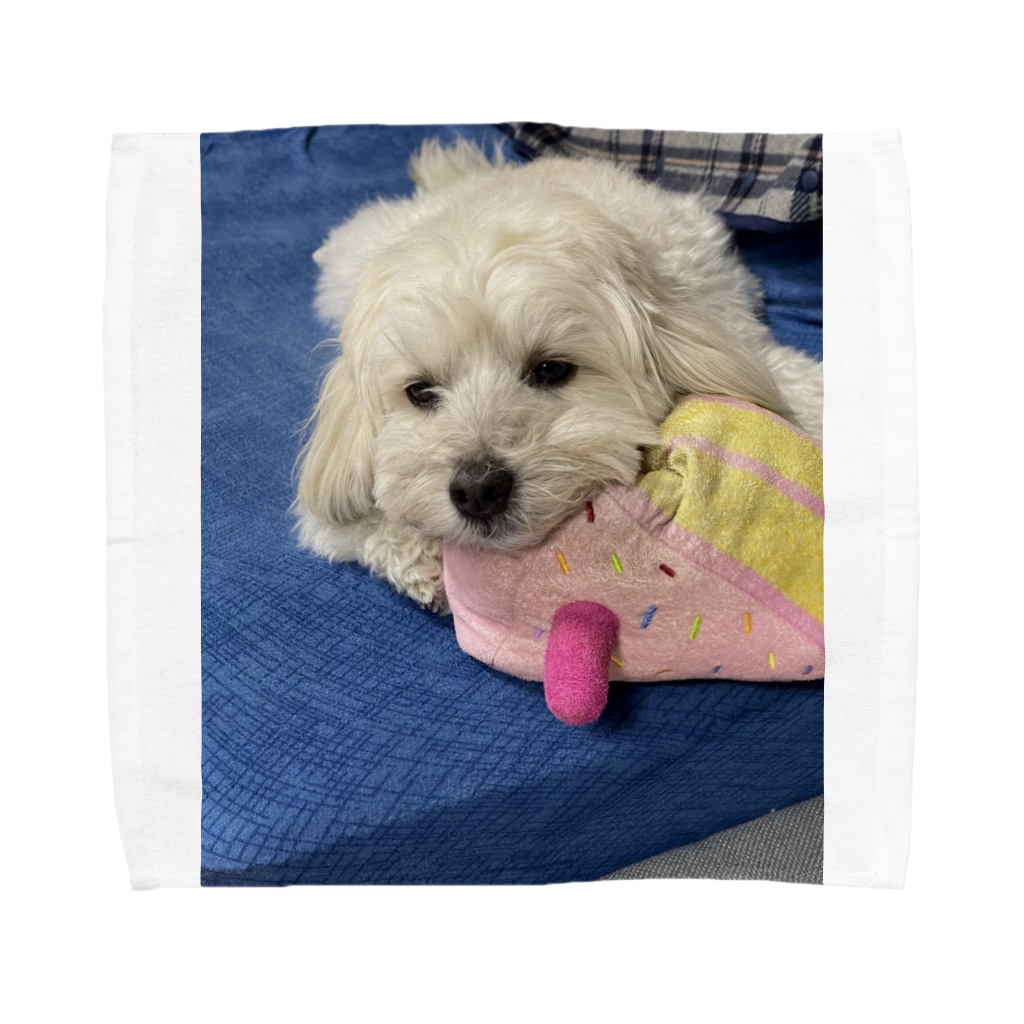 ハバニーズ プードルmix犬 Sunny サニー サニーsunny 犬グッズショップ Sunny Havapoo0519 のタオルハンカチ通販 Suzuri スズリ