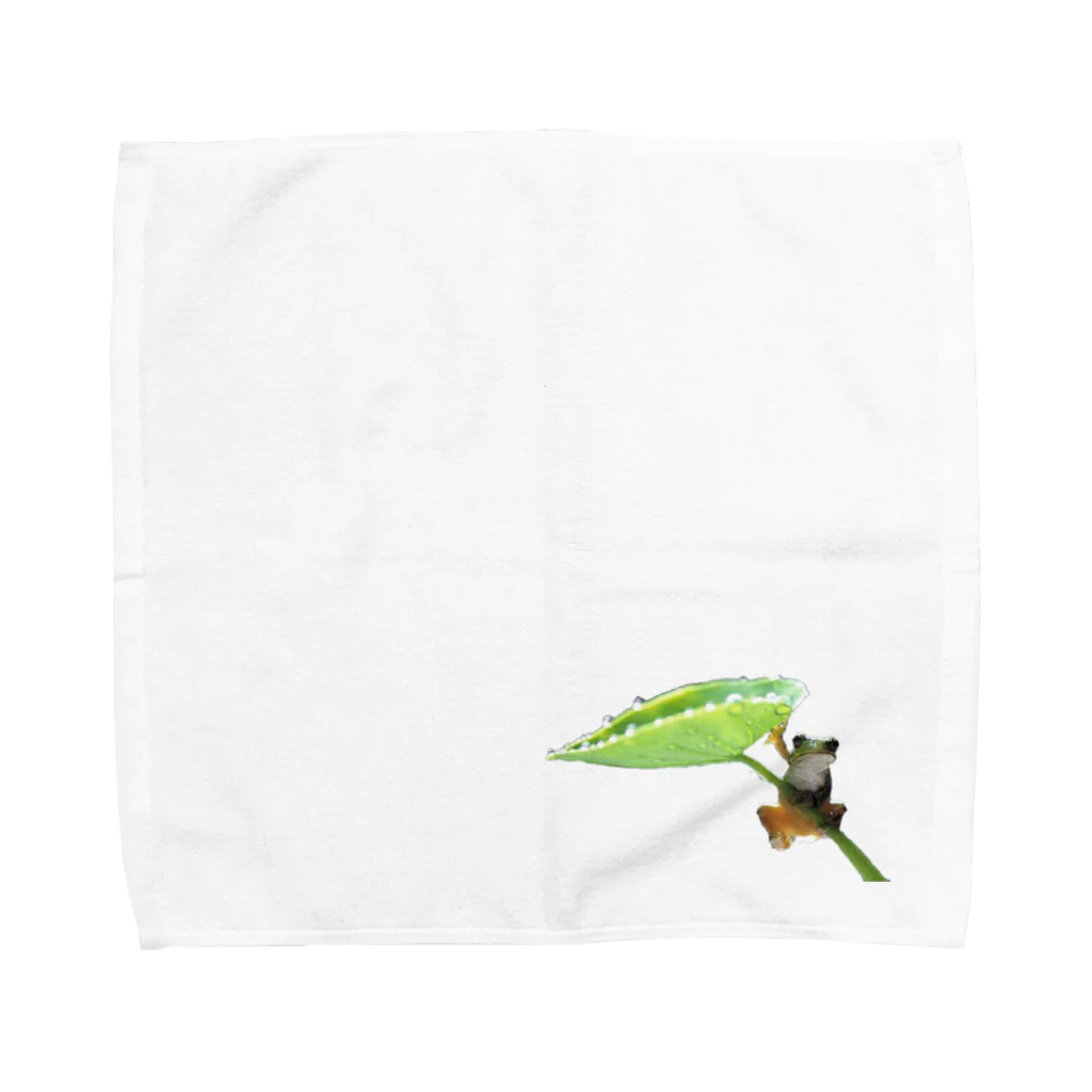 aiton2875のカエル Towel Handkerchief