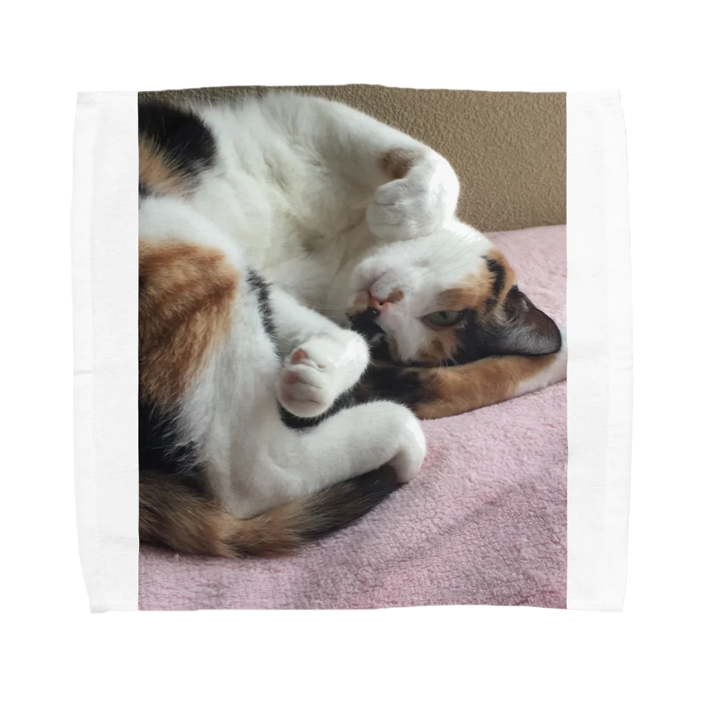 モモさんショップの愛猫モモ Towel Handkerchief