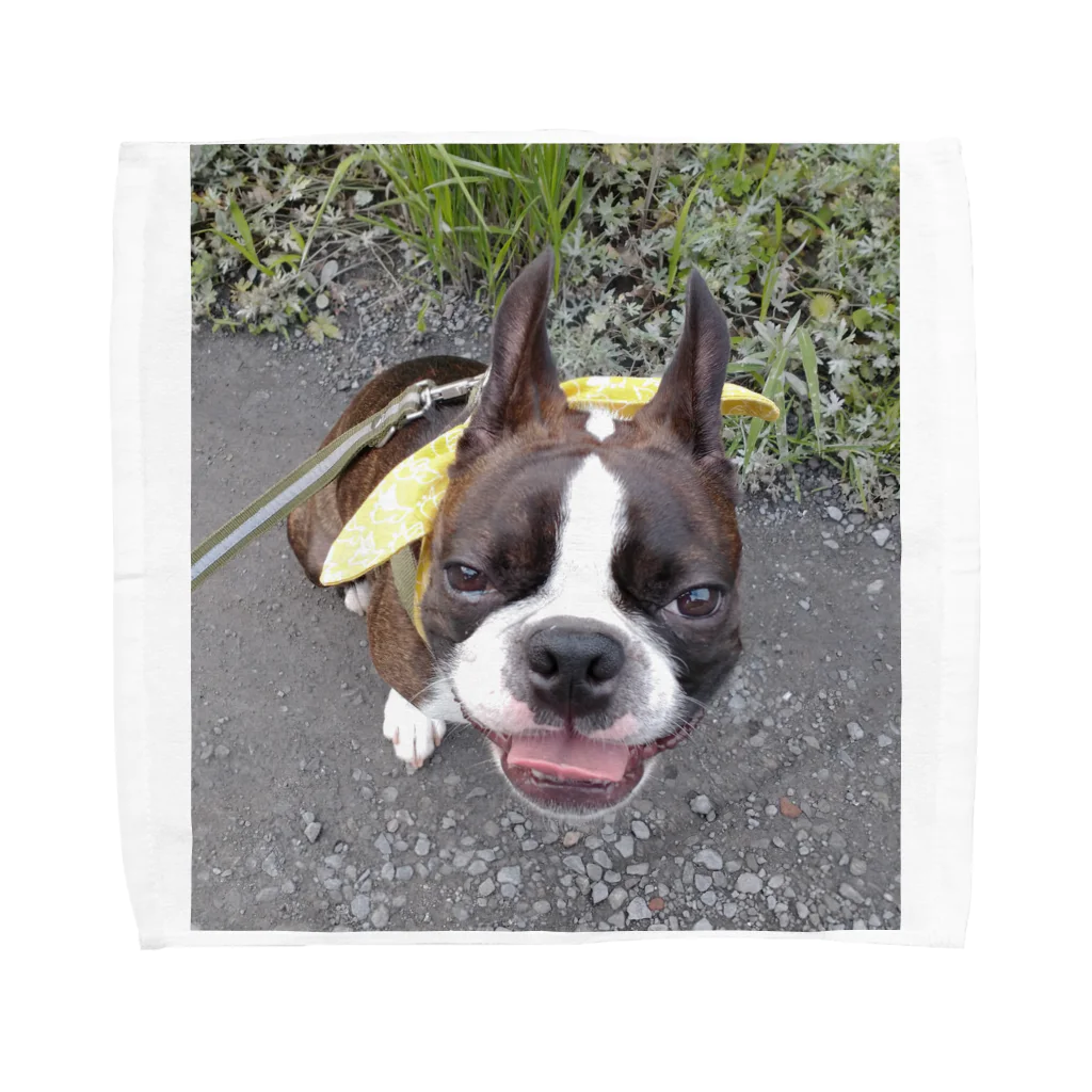 Laikathebostonterrierのおさんぽライカ2 Towel Handkerchief