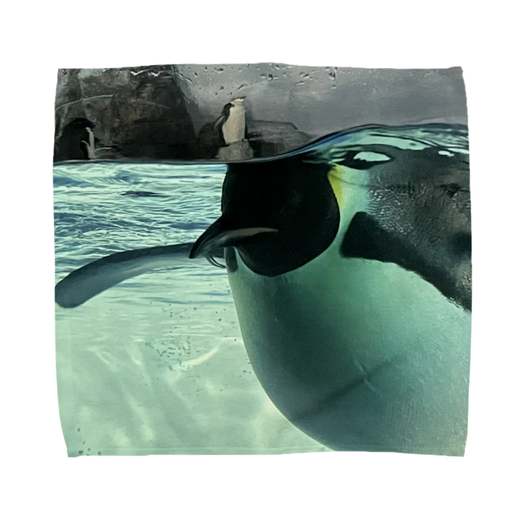 ペンギンの写真のコウテイペンギン　写真　リアル タオルハンカチ