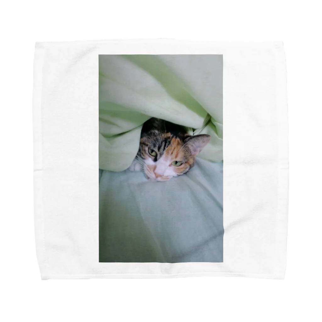 ko+nekoのみぃにゃん＊お布団から出たくない Towel Handkerchief