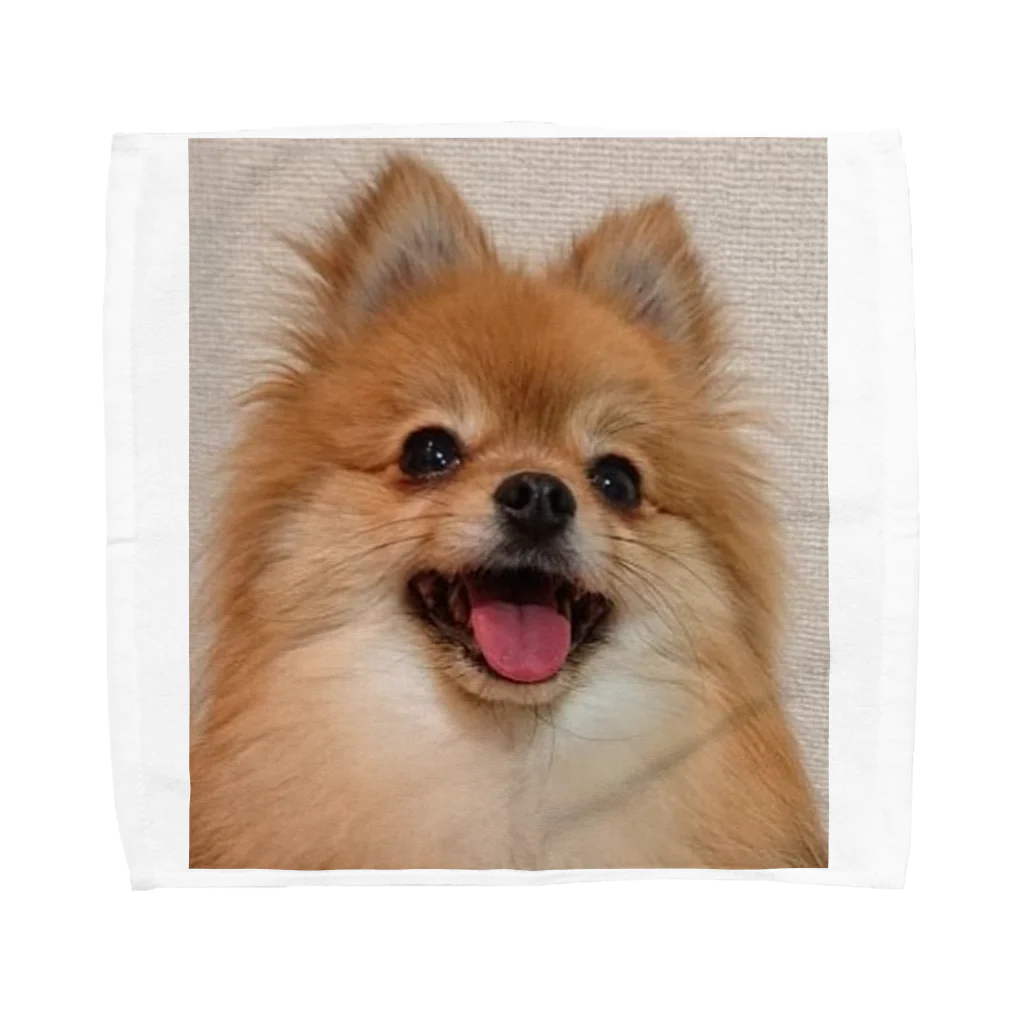 mayocodayoのポメラニアンまみちゃん Towel Handkerchief