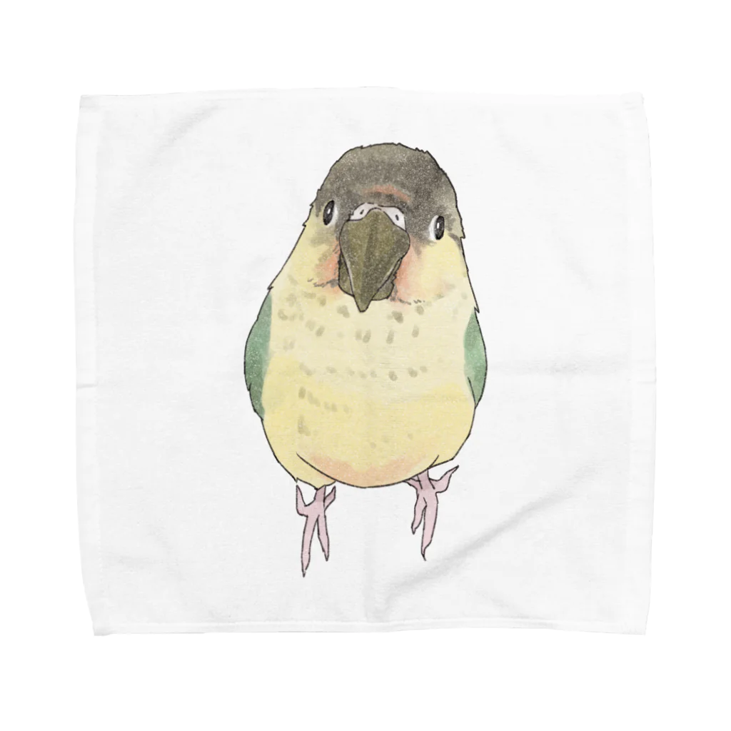 まめるりはことりの可愛いウロコメキシコインコちゃん【まめるりはことり】 Towel Handkerchief