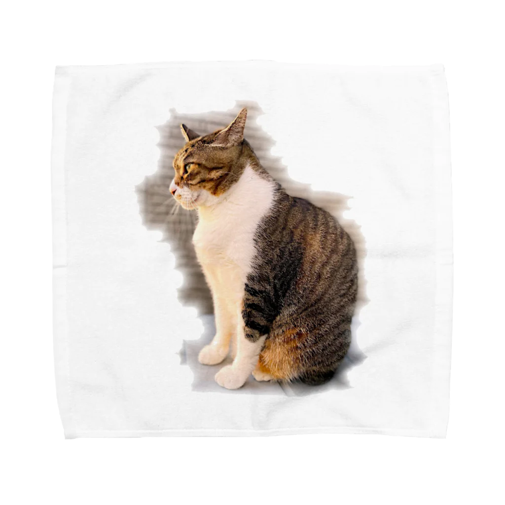 latte_oreha_nekoの「ツンデブ猫」ラテさんグッズ Towel Handkerchief