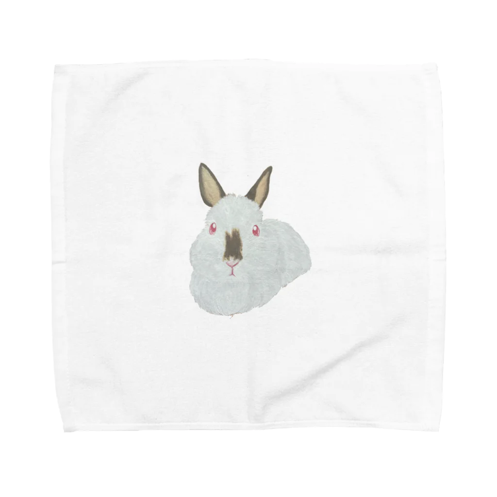 chocott_chicoのうさぎさん🐰ヒマラヤン Towel Handkerchief