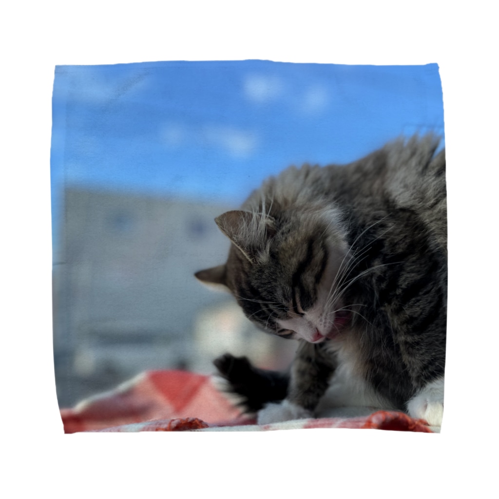 たびねこ蜜柑のたびねこ蜜柑 Towel Handkerchief