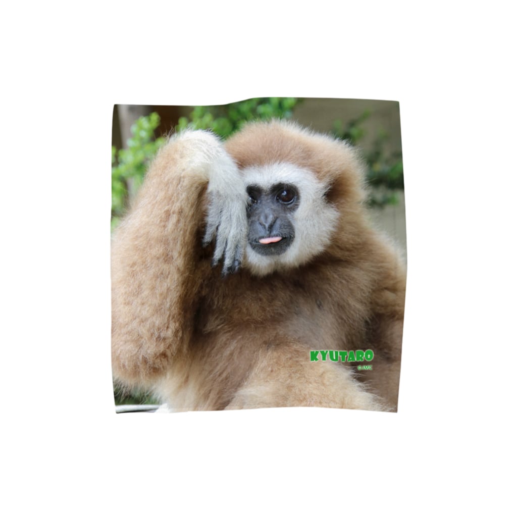 シロテテナガザルのキュータロウ 日本モンキーセンター Jmc Japanmonkeycentre のタオルハンカチ通販 Suzuri スズリ