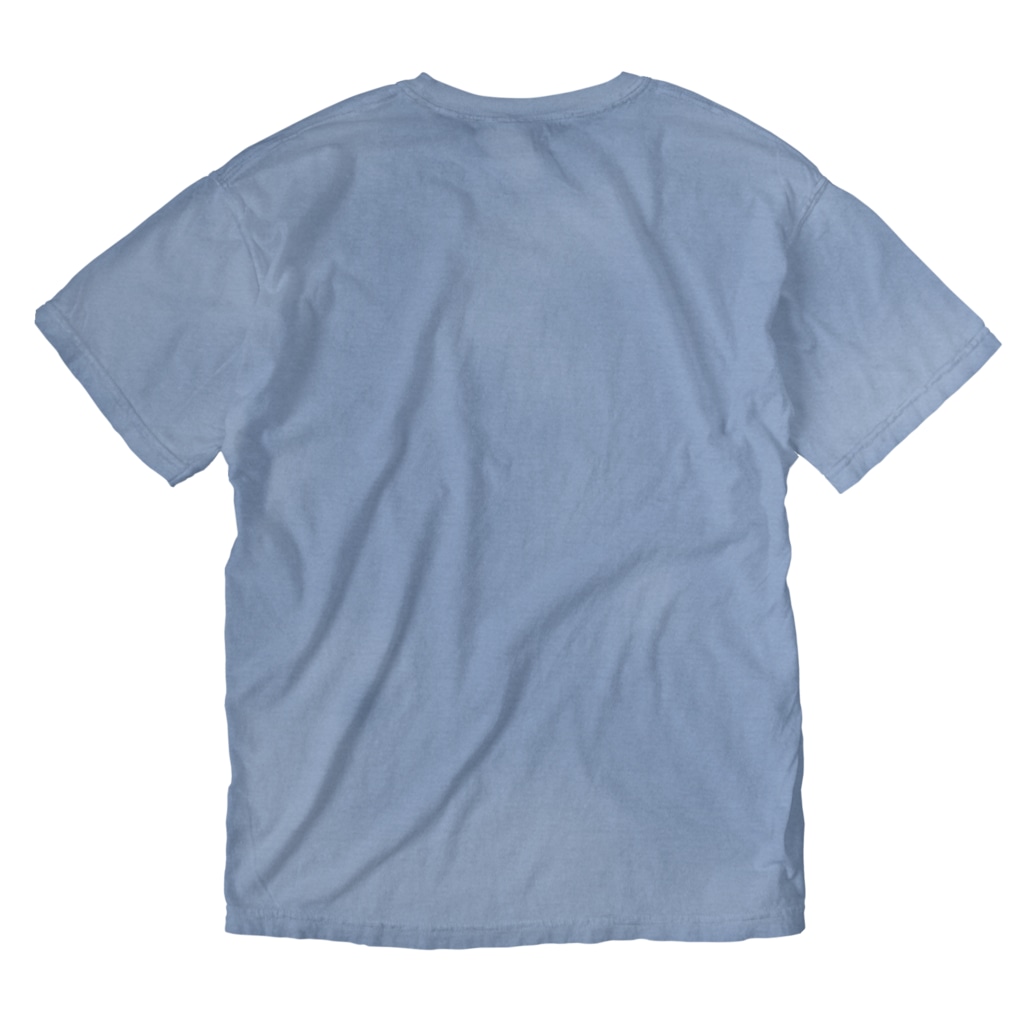 Alba spinaのエケベリア モノクロ Washed T-Shirt :back