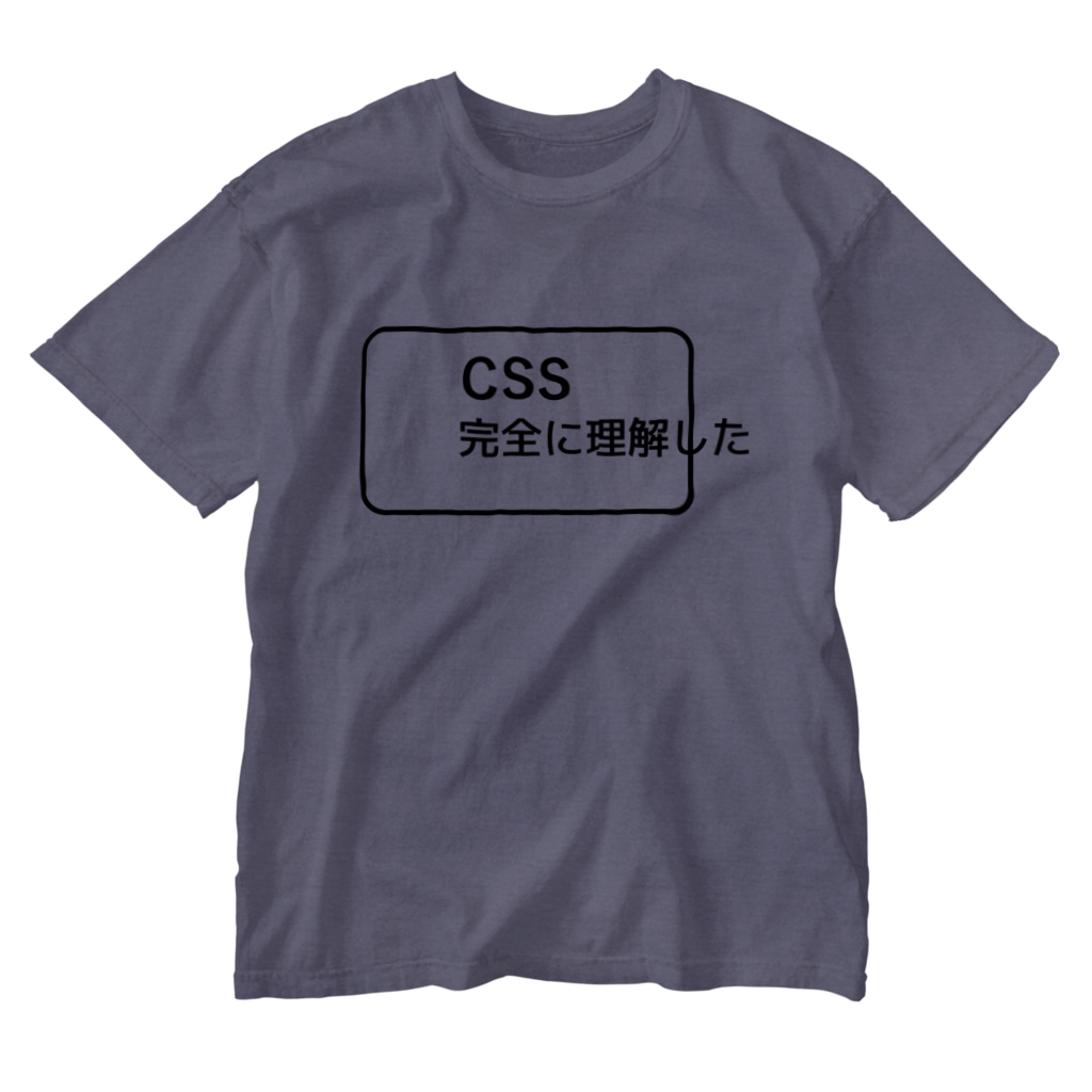 FUNNY JOKESのCSS完全に理解した Washed T-Shirt