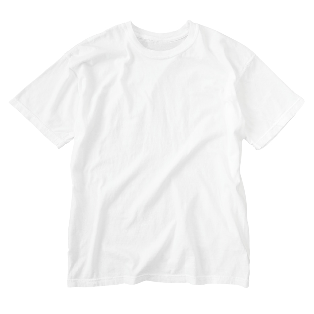 LalaHangeulの身をもって反戦を訴えるチンアナゴたち　バックプリント Washed T-Shirt