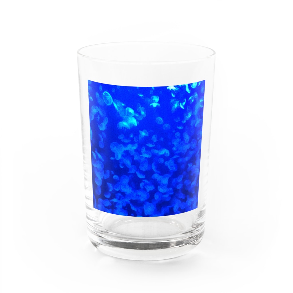 黒羽写真館のミズクラゲ Water Glass