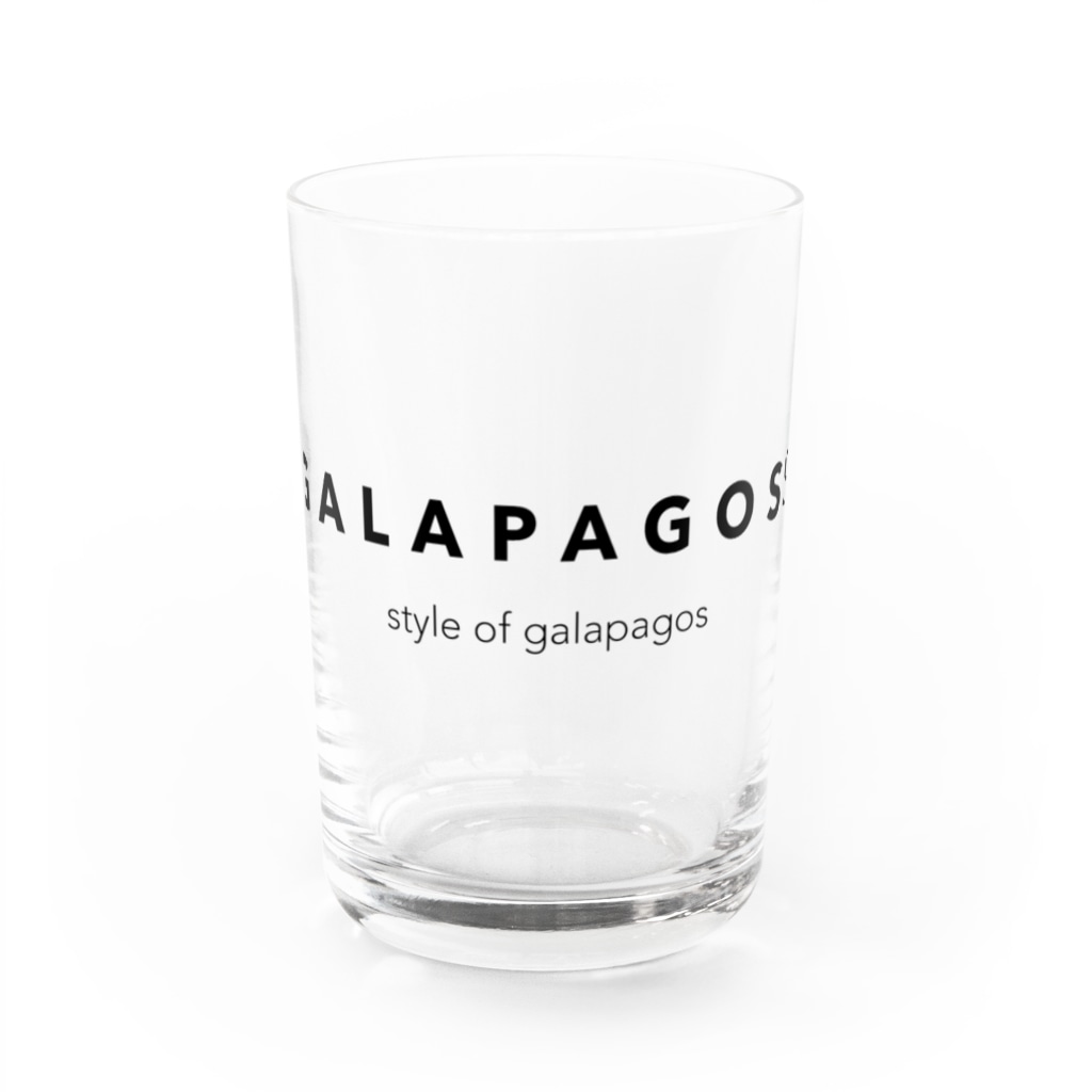 California StockingのGALAPAGOSS Water Glass