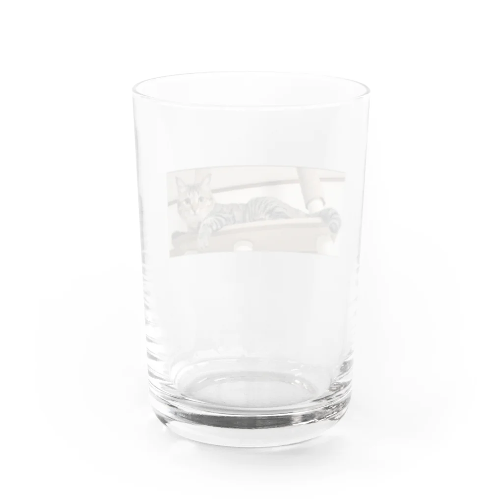 そらchanと一緒！のそらchanと一緒！ Water Glass :back