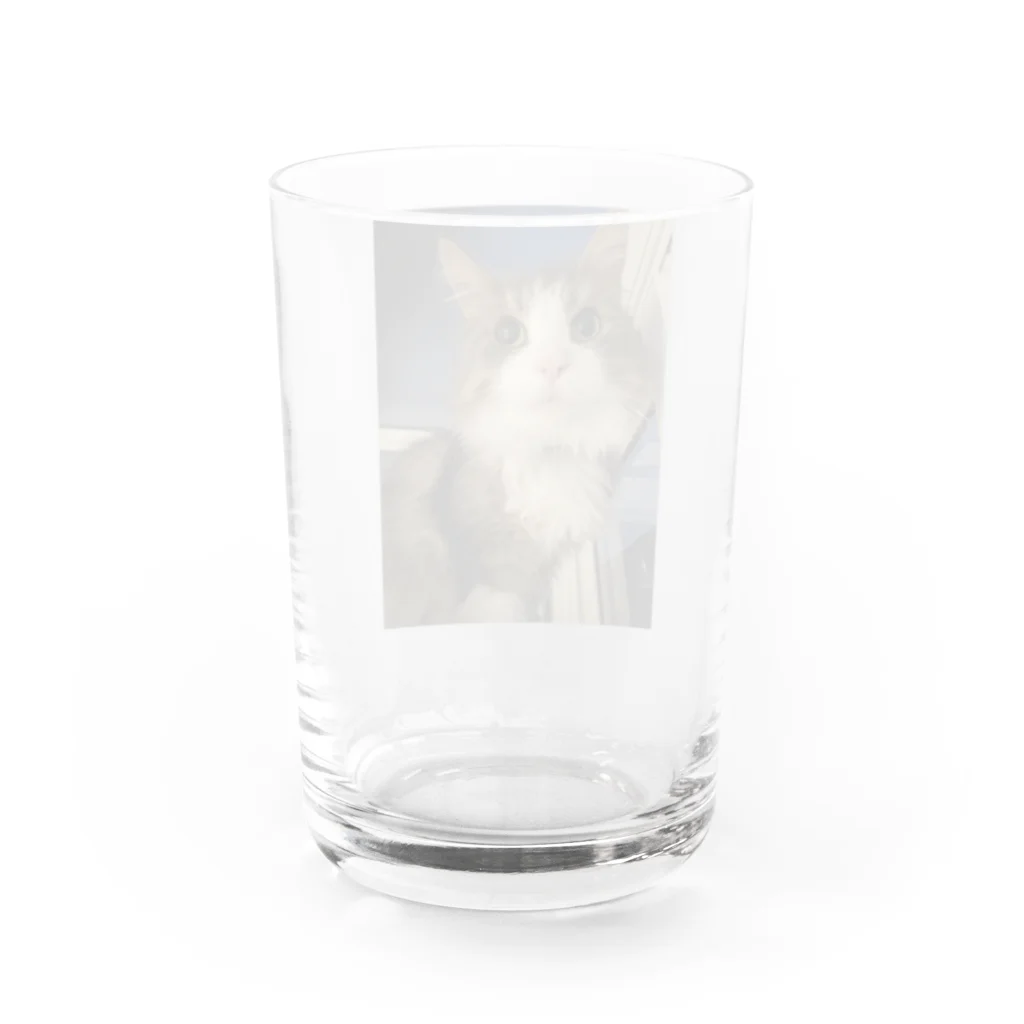 めいりーぷのノルウェー Water Glass :back