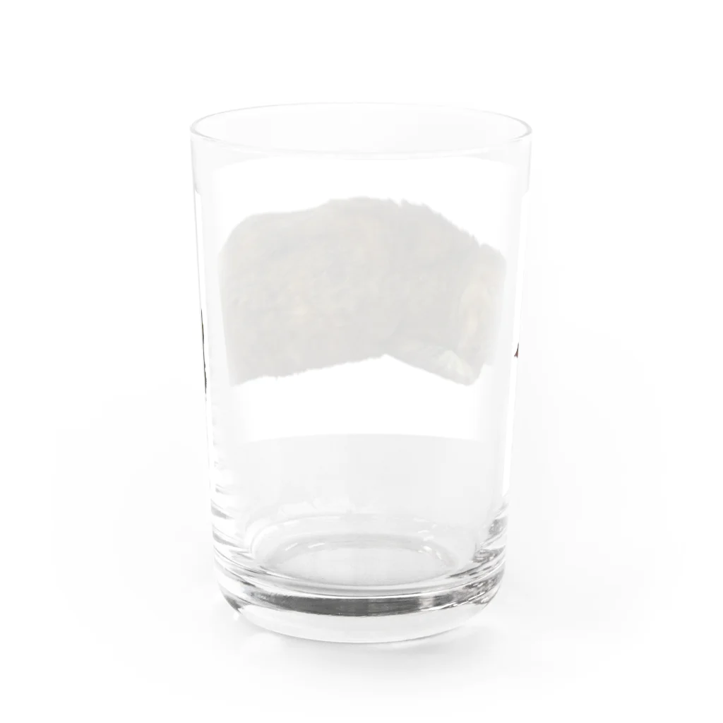 キジトラかもしれないのおねむ猫 Water Glass :back