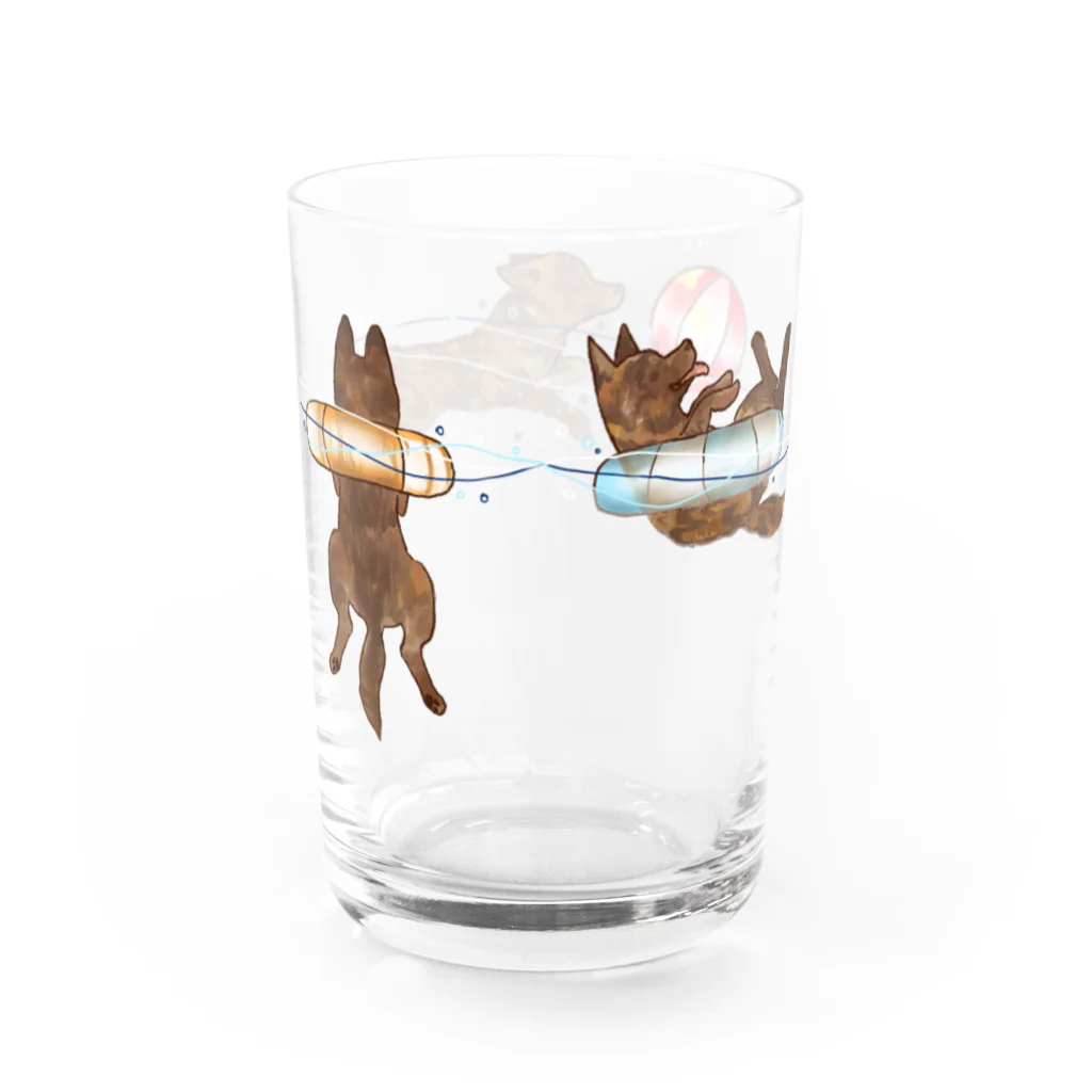 くろげちゃまじりのグラスで泳ぐ甲斐犬 Water Glass :back