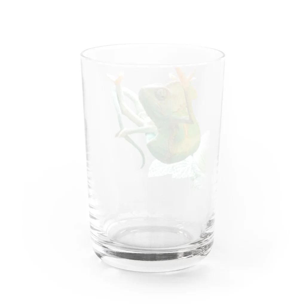 Oubiのずっと監視中　エボシカメレオン　オクラ Water Glass :back