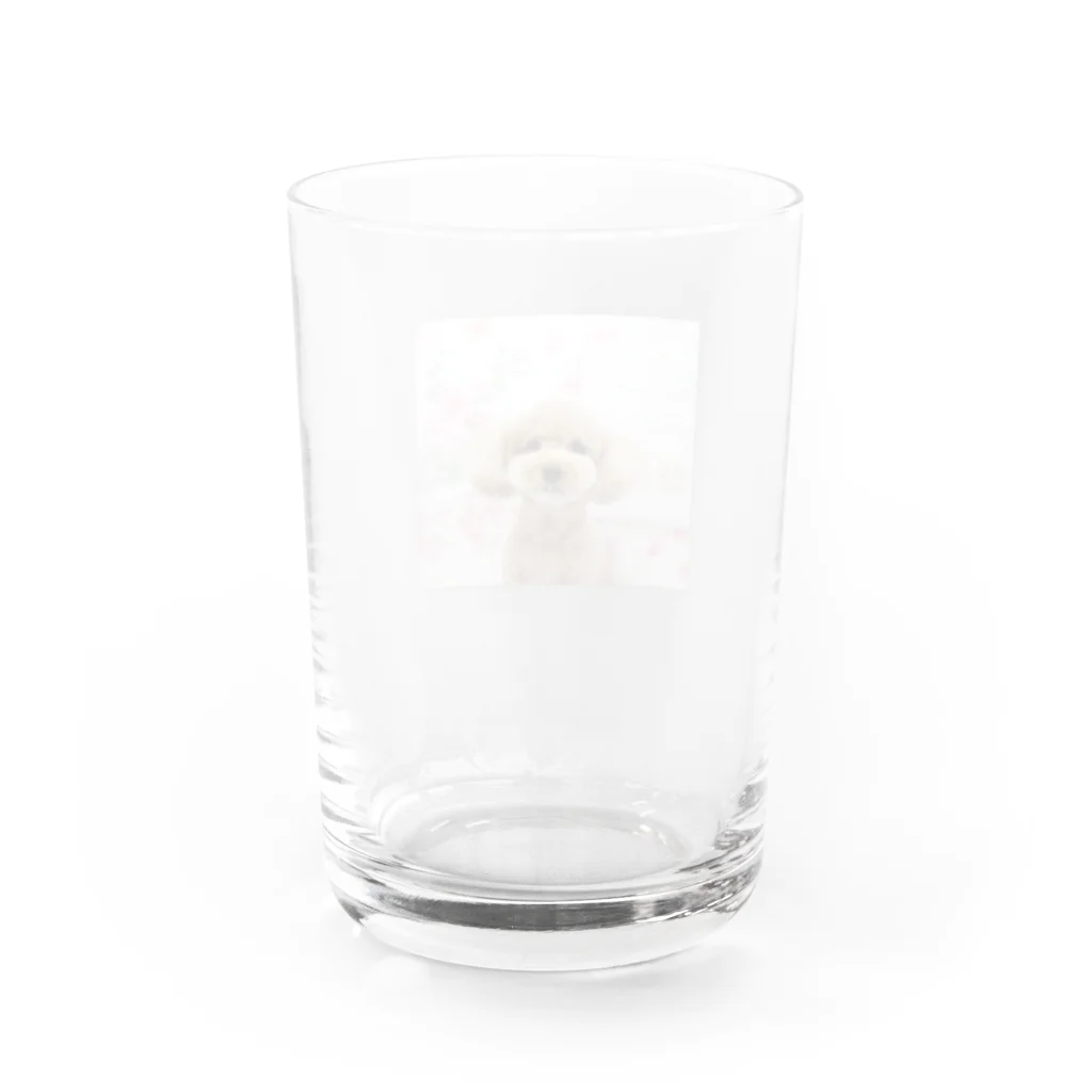 kuu※kawaii!!のトイプードルのくーちゃん Water Glass :back