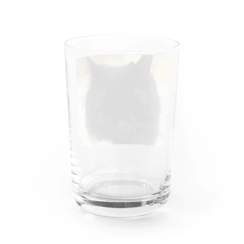 ニャンコの秘密基地のみみちゃん Water Glass :back