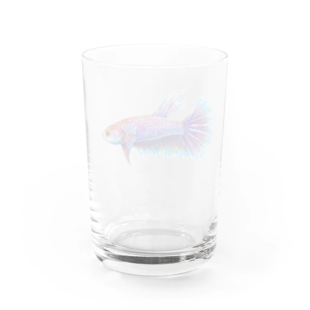 おぐらしほのベタ_色鉛筆 Water Glass :back