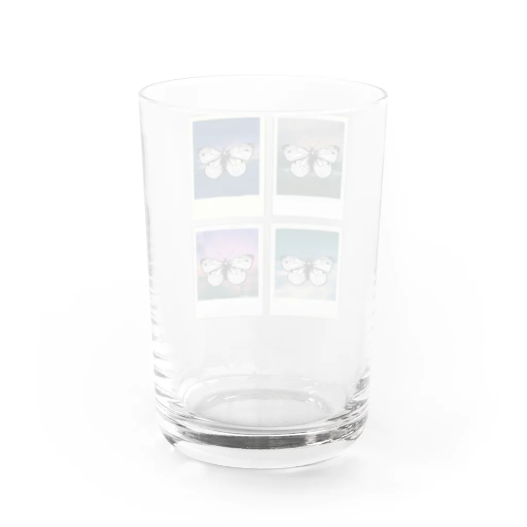 SUNOMONOの記憶標本 Water Glass :back