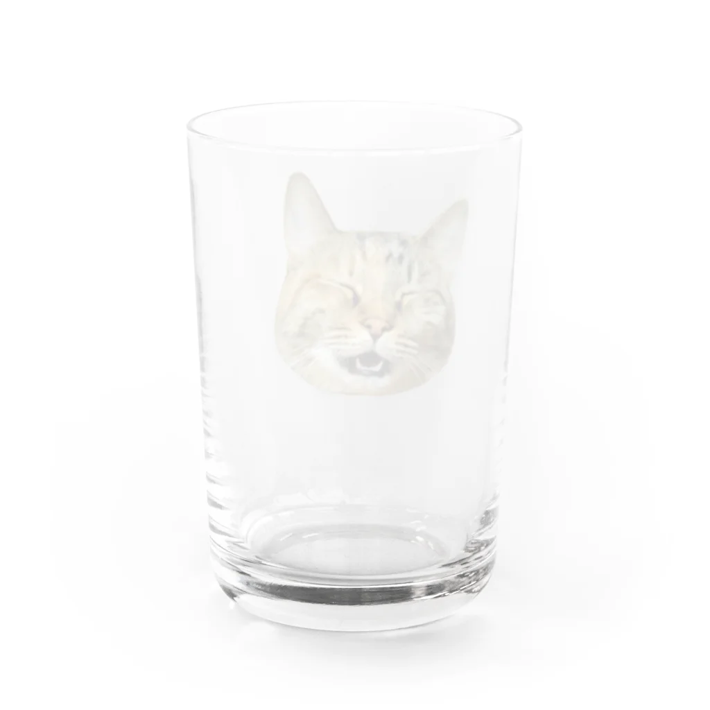 桃くるみSHOPのアハハにゃん Water Glass :back