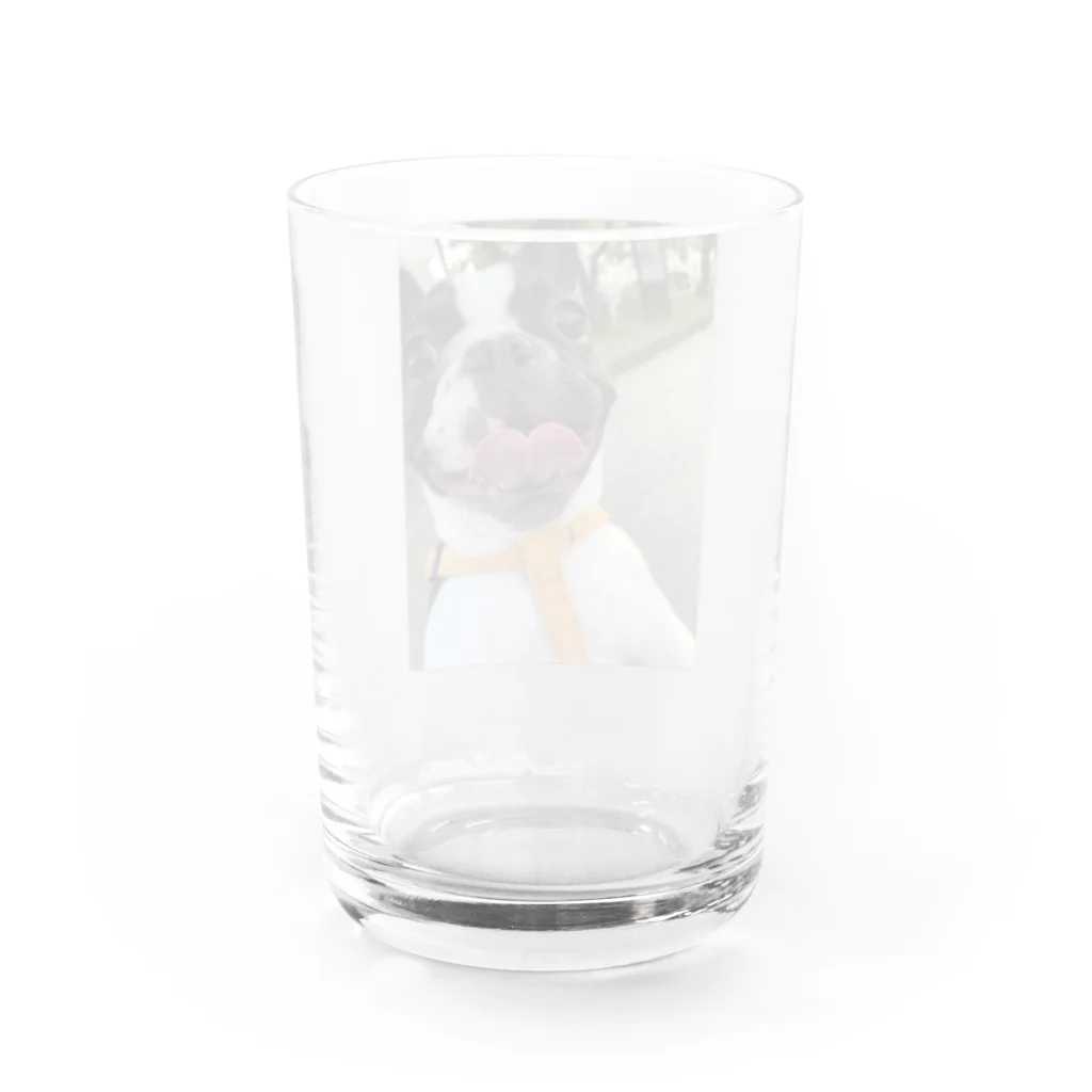 buhibuhi🐶のゆず Water Glass :back