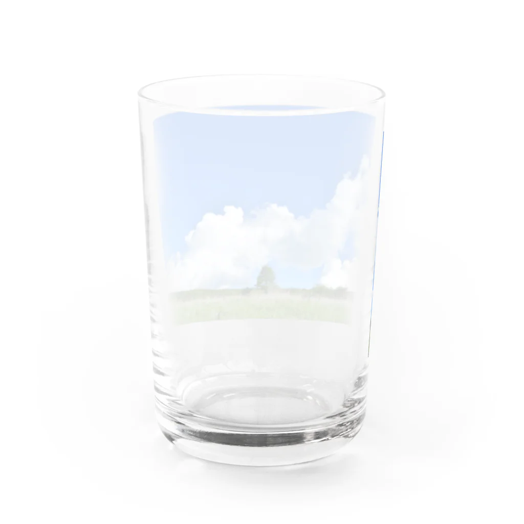 pattedyrの高原の青空 Water Glass :back