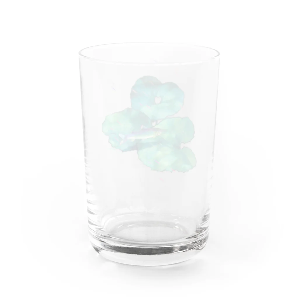 rakkosoda / コマイの葉っぱと魚と雨 Water Glass :back