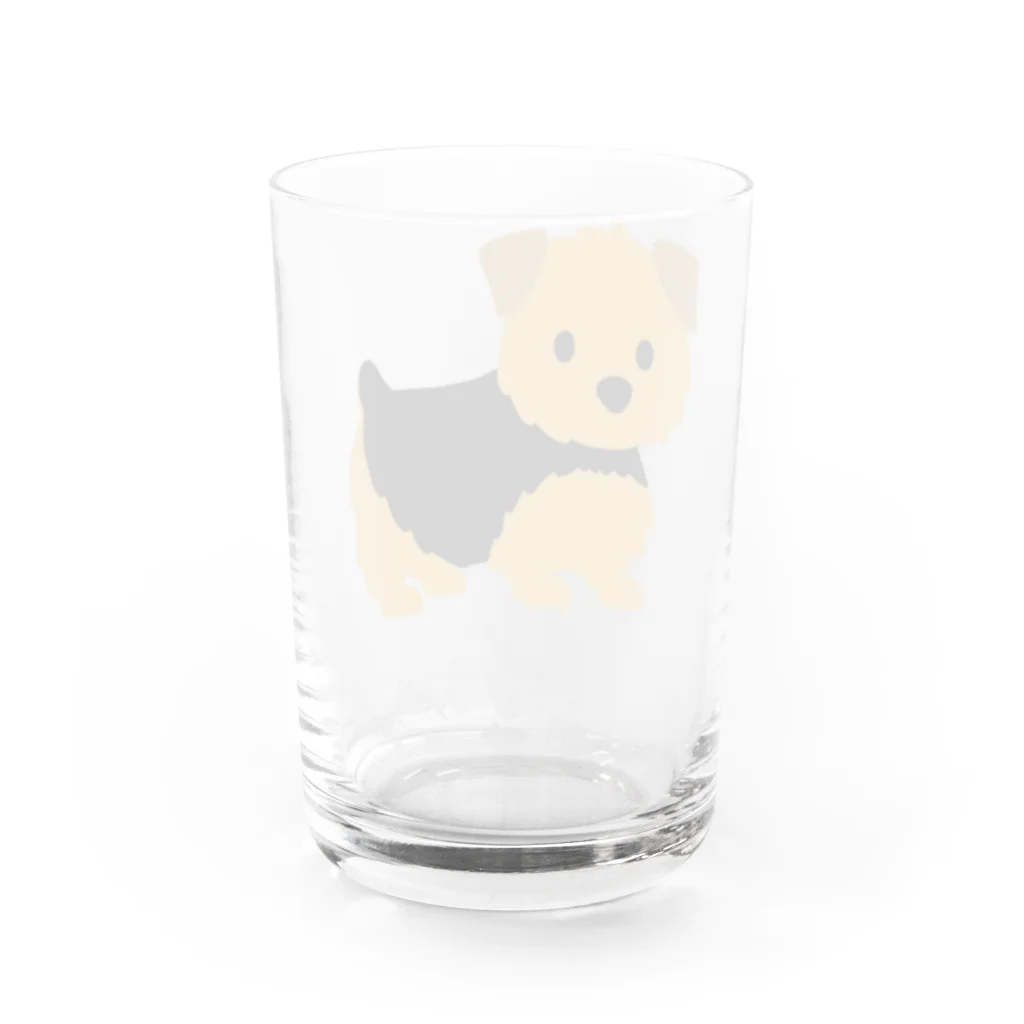 TOMOS-dogのnorfolkterrier（ブラタン） Water Glass :back